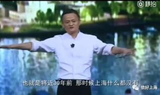 马云外滩峰会说错了什么