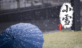 小雪吃什么风俗食物北方