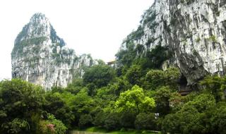 千山青黛全文免费阅读