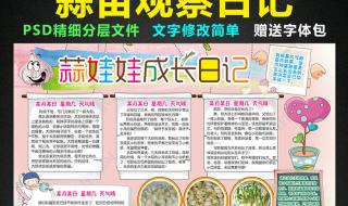 种大蒜观察日记四年级